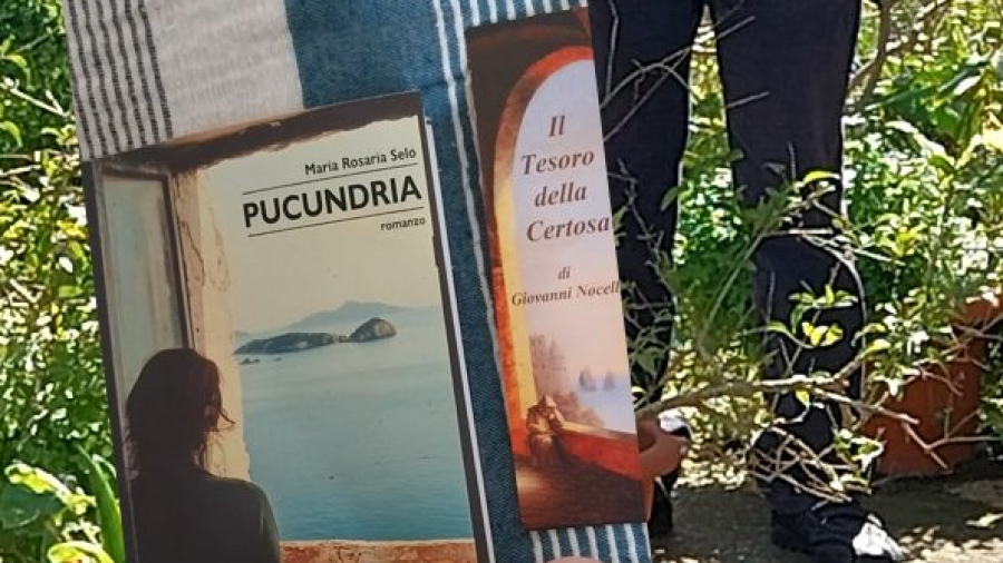 Pucundria di Maria Rosaria Selo - copertina